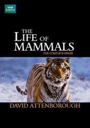The Life of Mammals