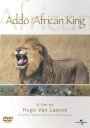 Hugo Van Lawick : Addo, The African King