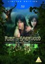 Robin of Sherwood - Michael Praed