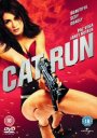 Cat Run