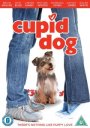 Cupid Dog
