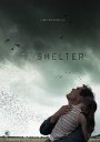 Take Shelter: Limited Edition