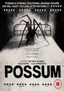 Possum