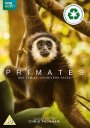 Primates