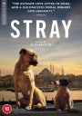 Stray