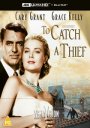 To Catch a Thief: Collector's Edition